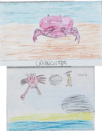 Figura 8: Representações graficas consideradas corretas sobre os crustáceos por alunos da educação básica