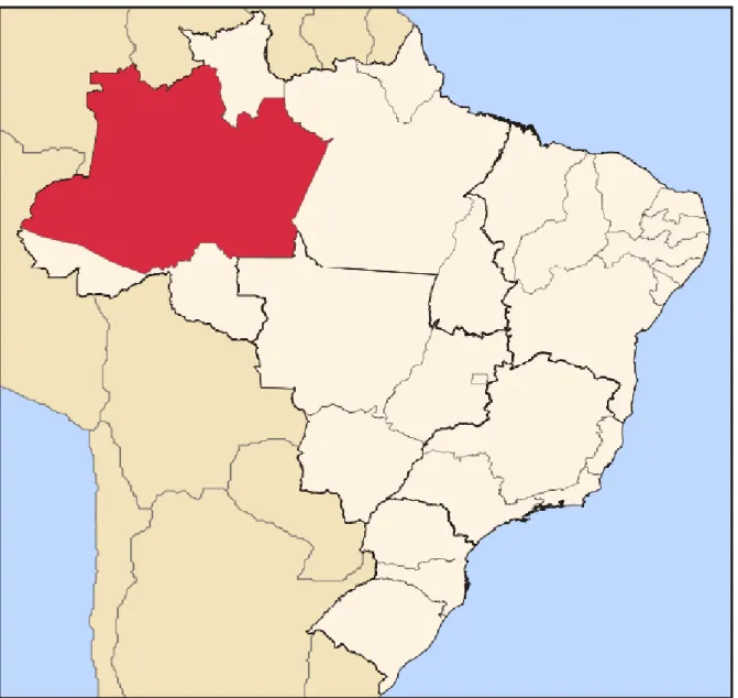 FIGURA 1 – Estado do Amazonas 
