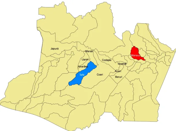 FIGURA 2 – Cidade de Tefé e cidade de Manaus. 