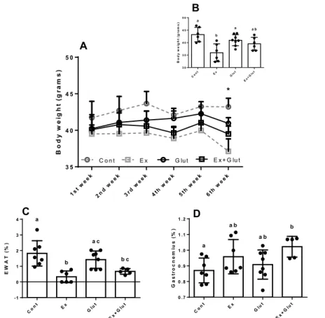 Figure 2 – Effect of association of L-glutamine supplementation in animals submitted   to moderate aerobic training on body weight, adiposity and gastrocnemius mass