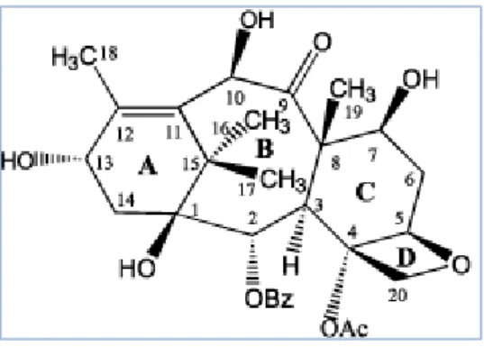 Figura 5: Estrutura química da 10-desacetilbacatina-III (retirado de Souza, 2004).   