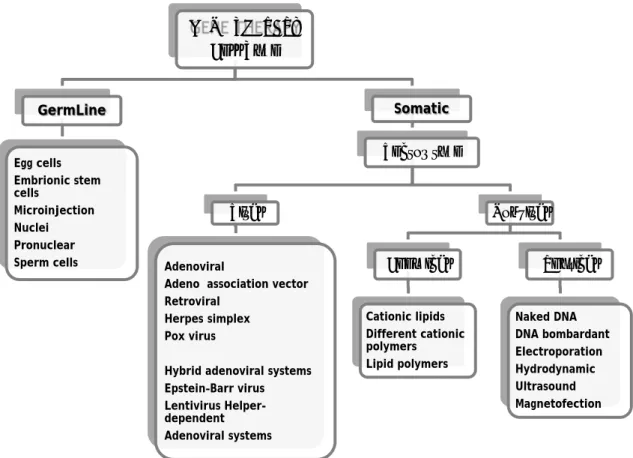 Figure 1: Diagram of the different gene delivery systems (adapted from Nayerossadat et al., 2012).