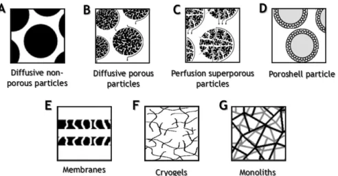 Figure 5: Structural representation of the different chromatographic supports. (A) Diffusive nonporous  particles; (B) diffusive porous particles; (C) perfusion superporous particles; (D) poroshell particle; (E)  membrane sheets; (F) cryogels; (G) monolith