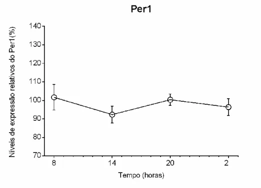 Figura 8. Variação da expressão do mRNA de Per1 em células epiteliais do plexo coróide (CPEC) de  rato  a  diferentes  horas