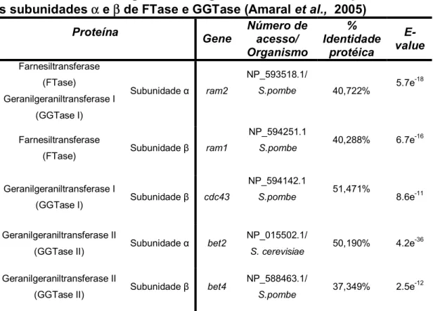 Tabela 2: Análise dos genes ortólogos de P. brasiliensis que codificam  as subunidades α e β de FTase e GGTase (Amaral et al.,  2005) 
