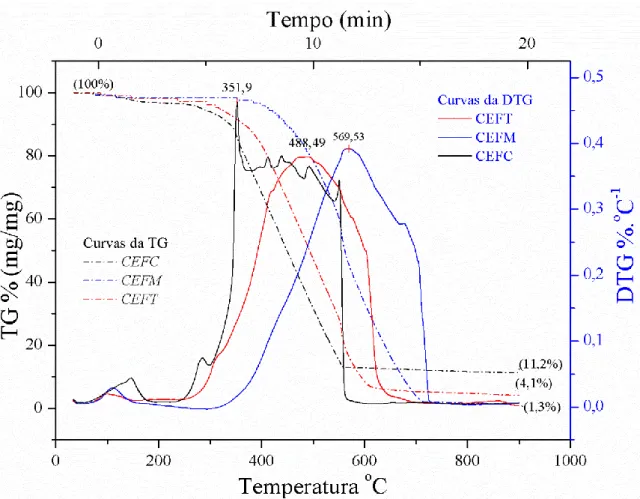Figura 13 Curvas de TG e DTG dos carvões. O aquecimento foi de 23℃ a 900℃ com rampa de 20℃ 
