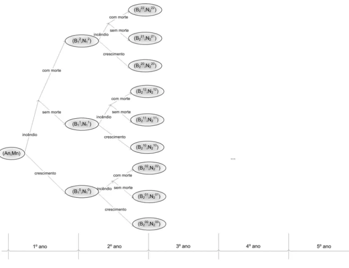 Figura 3.3: Representação em árvore, das possibilidades de ocorrência de incêndio, num dado estágio.