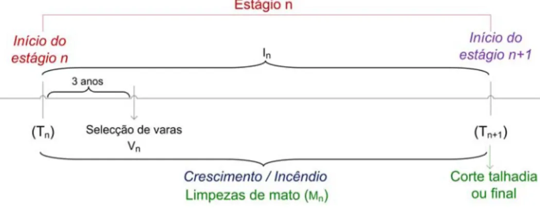 Figura 4.2: Caracterização do estágio  para o modelo do eucalipto, considerando o risco de incêndio.