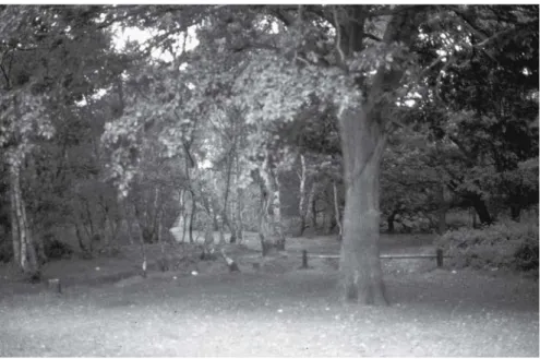 Fig. 6.1. This is a woodland at Sutton Park in Sutton Coldfield near Birmingham in Britain