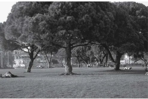 Fig. 6.4. In Lisbon, this park is characterized by the canopy provided by the trees which gives a shady place for activities which, while similar to elsewhere, need more shade in the long hot summer,  al-though they can take place comfortably for much more
