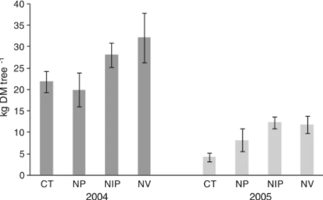 Fig. 7 Nut production (kg DM per tree) in the different treatments for 2004 and 2005 (n=9)