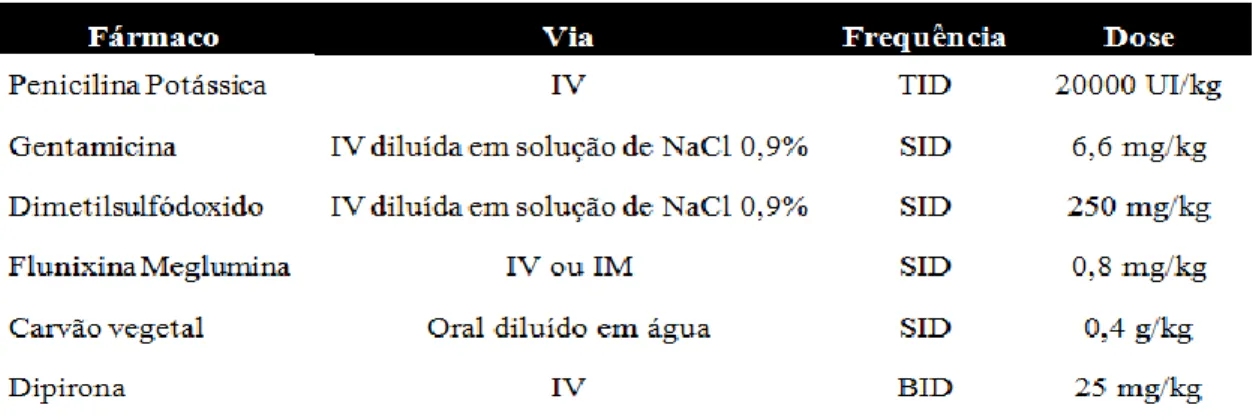 Tabela 1. Tratamento medicamentoso referente ao primeiro dia de internamento do animal 