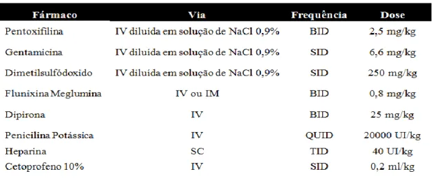 Tabela 2. Tratamento medicamentoso referente ao segundo dia de internamento do animal 