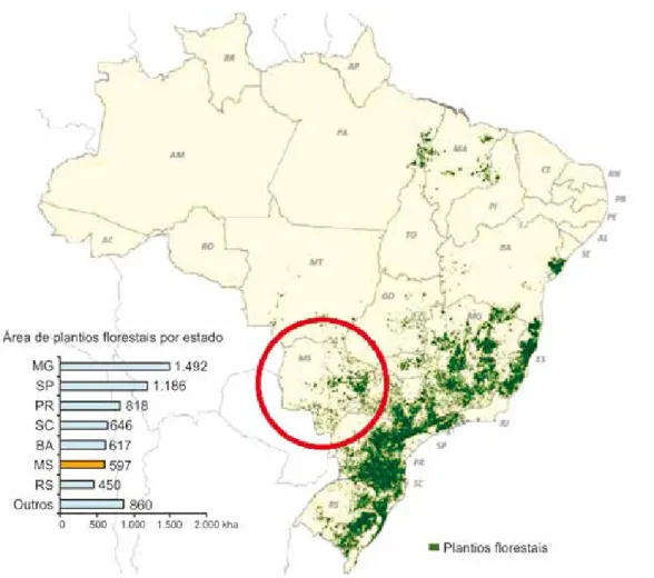 Figura 3. Distribuição da área de plantios de florestas no Brasil em 2012.