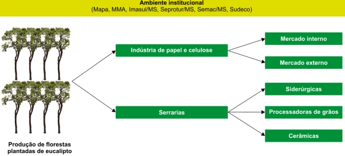 Figura 5. O sistema de produção de florestas plantadas de eucalipto em Mato Grosso do Sul.
