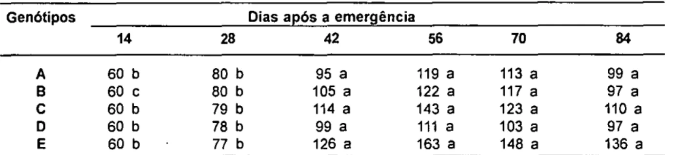 TABELA 6 -  Exemplo 2: evolução do número de afilhos em um metro linear, em genótipos de aveia 