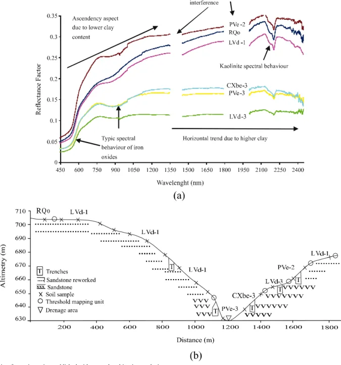 Figure 2 - Spectral curves of different soil classes obtained in the field (a) and their position along transect 2 of the area under study (b)