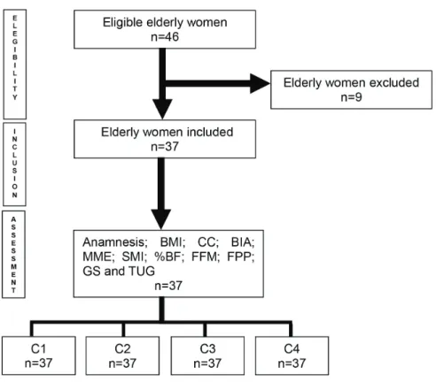 Figure 1. Flowchart of the data collection process. Curitiba-PR, 2013.