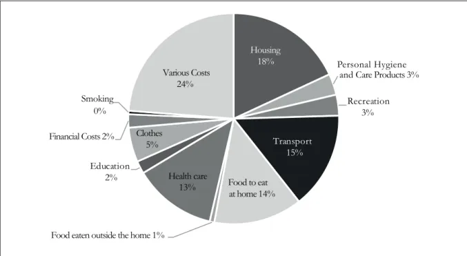 Figure 2. Distribution of consumption by cost category. Brasil, 2009.