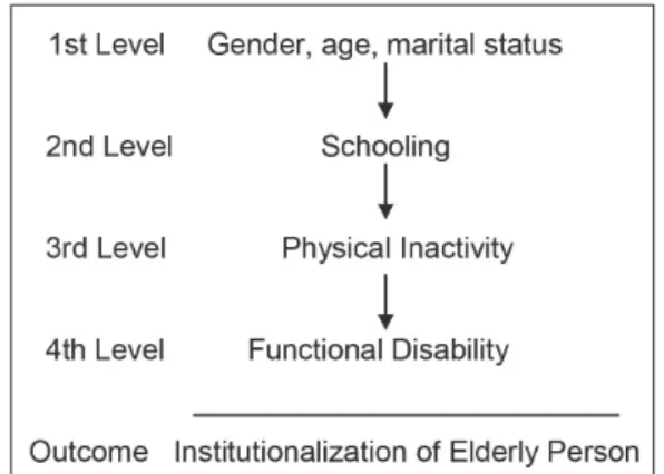 Figure 1.  Causes of institutionalization by hierarchical level, Pelotas, Rio Grande do Sul, 2008.
