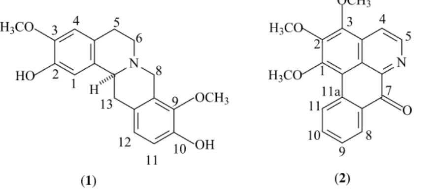 Figure 1. Alkaloids isolated from Fusaea longifolia