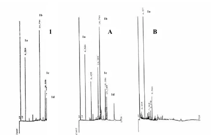 Figure 1. GC analyses of the dichloromethane extract from callus obtained from M. glomerata Sprengel cuttings (A)  and leaf explants (B)