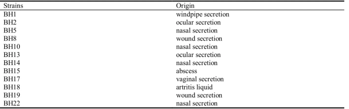 Table 2. Resistance pro ﬁ  le of Staphylococcus aureus strains to clinically used antibiotics