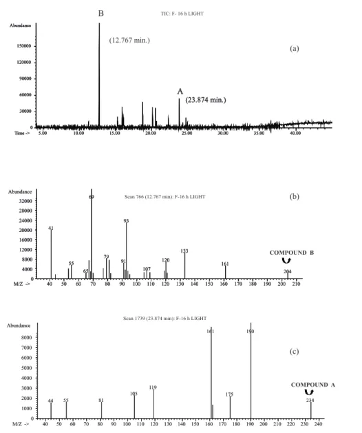 Figure 3. Chromatogram of normal (non-transgenic) roots cultivated in MS medium  hormones free kept under 16 h photoperiod obtained on Gas Chromatographic (HP5890)  coupled to Mass Detector (HP 5970)