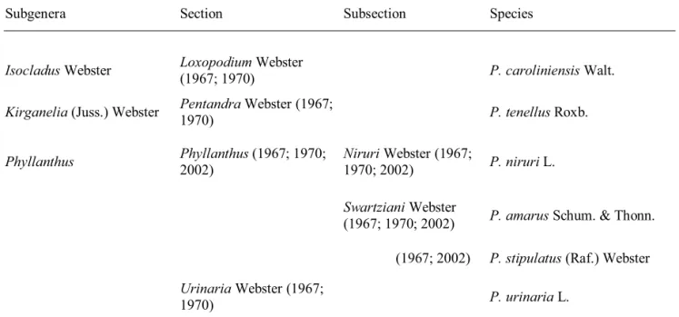 Table 1. Infrageneric classi ﬁ  cation of six herbaceous Phyllanthus species, according to Webster (1967; 1970; 2002)  focused on  seed SEM analyses.