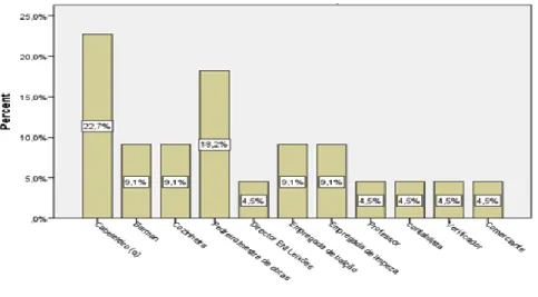 Figura 2-Profissão Passada Principal  Fonte: dados da pesquisa, 2013 