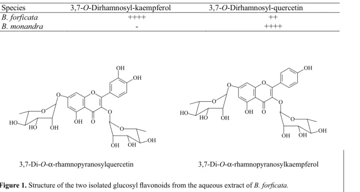 Figure 1. Structure of the two isolated glucosyl  ﬂ  avonoids from the aqueous extract of B