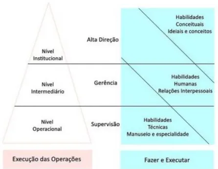 Figura 1. Habilidades do Administrador 