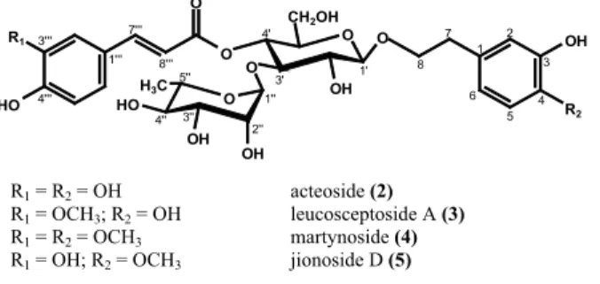 Figure 2. Structures of phenylethanoid glycosides 2-5 isolated  from S. cayennensis.