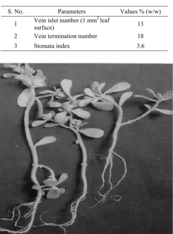 Table 4. Leaf constants of P. oleracea.