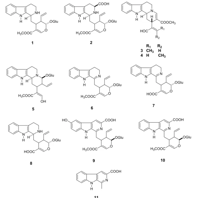 Figure 1. Indole terpene alkaloids pro ﬁ  le from Chimarrhis turbinata.