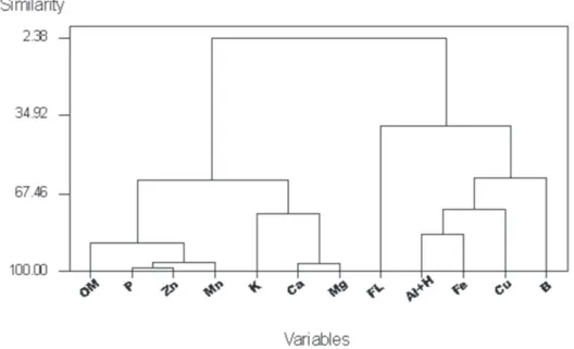 Figure 3.  Dendrogram obtained by HCA analysis for the variables soil ions (K, Mg, Ca, P, Zn, Mn, B, Fe, Cu, Al + H), organic matter  (OM), and total lavonoid content (FL).