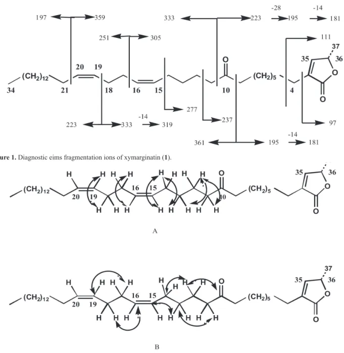Figure 1. Diagnostic eims fragmentation ions of xymarginatin (1).