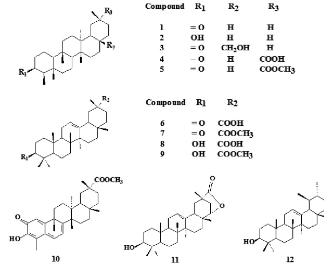 Figure 1. Pentacyclic triterpenes from A. populnea submitted to antibacterial activity.