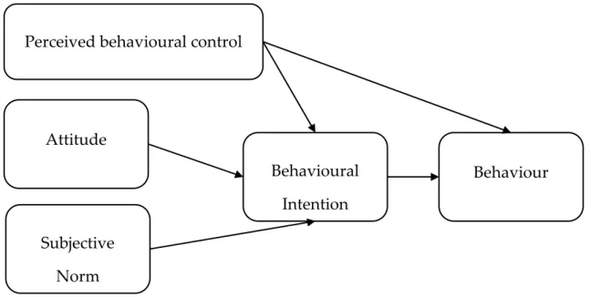 Figure 4 - Theory of Planned Behaviour scheme (Adapted from: Madden et al., 1992)