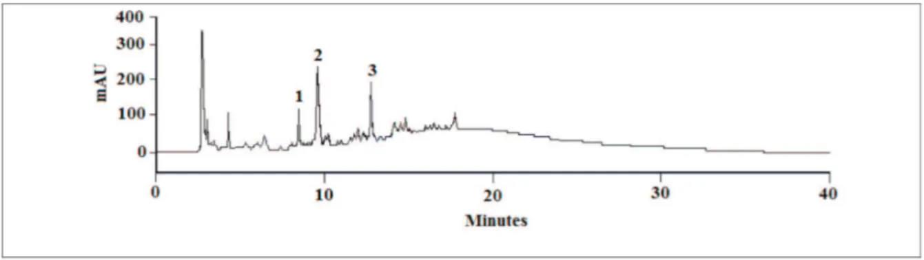Figure 1. Representative HPLC-UV/PAD chromatographic proile of bark and commercial extracts of P