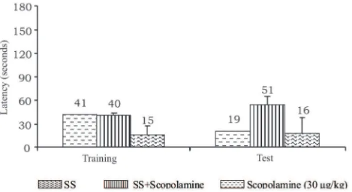 Figure 6. Antioxidant evaluation. R: rutin (10 mg/mL); ST: tanin  fraction  (0.1  mg/200  µL);  SF:  lavonoid  fraction  (1.9  mg/500  µL);  SS:  saponin  fraction  (2.0  mg/500  µL);  SE:  crude  extract  S