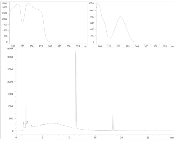 Figure 3. Chromatogram obtained by HPLC/DAD (210 nm) for JCA solution (100 mg/mL) and UV spectra of peaks R t = 11,28 min  and Rt = 18,33 min.