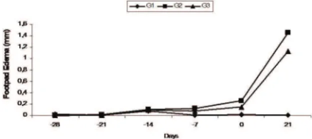 Table  3  presents  the  effect  of  EAE  on  subcutaneous imprints of L. braziliensis infected footpads  that presented amastigotes forms and cellular iniltration