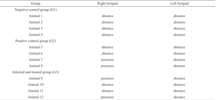 Table 3. Evaluation of the presence of L. braziliensis in footpad subcutaneous imprints