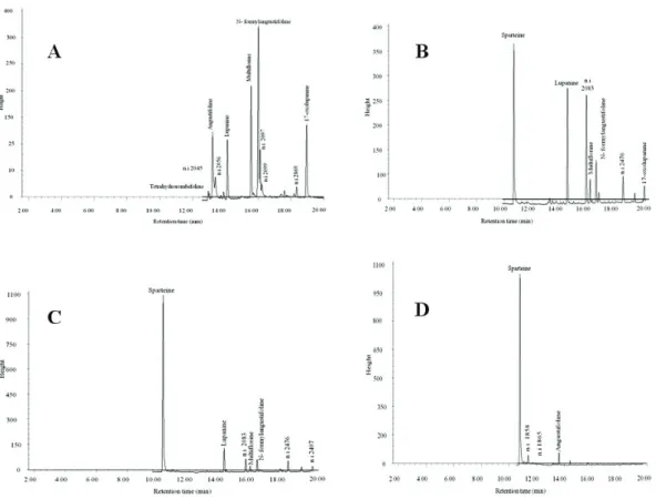 Table 1. Alkaloid composition in organs of L. aschenbornii.
