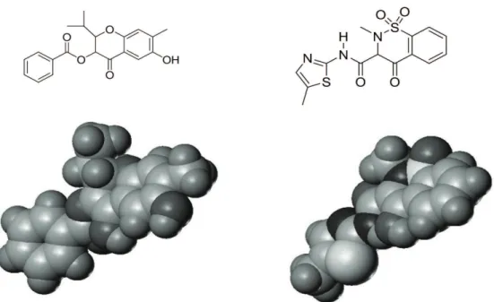 Figure  4. The  drawing  show  structures  of  chromene  derivative  and  meloxicam  in  plane  molecules  (above)  and  in  3D  (below)  display