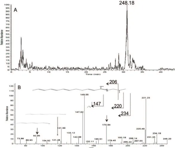 Figure  3.  Selected  ion  chromatogram  and  MS/MS  Spectra  of  dodeca-2,6,8,10-tetraenoic  acid  isobutylamide  (4)