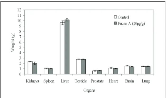 Figure 2. Organ weights in Wistar rats treated with fucan A for  62 days in sub-chronic toxicity study