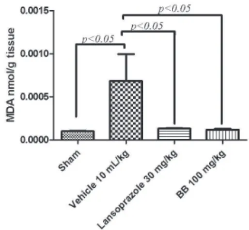 Figure  4.  Sulfhydryl  contents  in  the  gastric  mucosa  of  rats  pretreated  with  BB  (100  mg/kg)  and  submitted  to  absolute  ethanol-induced  ulcerative  lesions