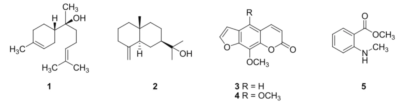 Figure 2 .  Comparative  chromatograms  of  extracts: A.  young  leaves  and  B.  mature  leaves,  allowed  to  observe  the  differences  to  quantity and composition between young and adult leaves of Zanthoxylum tingoassuiba.
